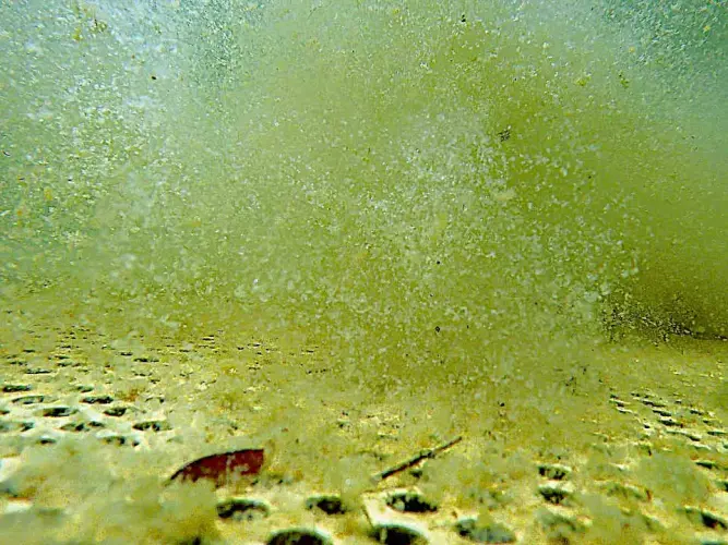 Teichschlamm-Absaugung regulieren