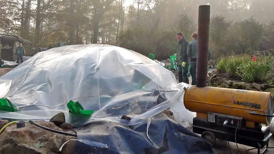 Wann ist die beste Zeit für den Bau eines Gartenteiches?