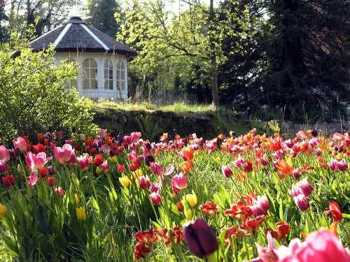 Fotokurs der VHS Ibbenbüren im NaturaGart Park