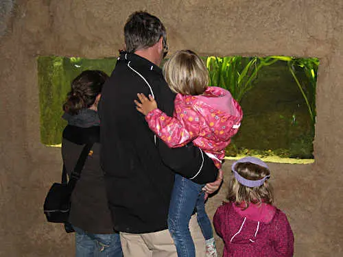 Fronleichnam im NaturaGart Park