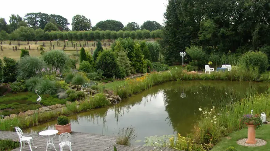 Bauantrag für einen Schwimmteich in NRW und anderen Bundesländern