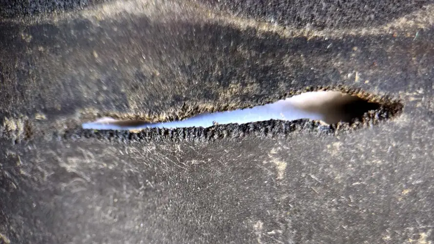 Wenn Insekten EPDM-Teichfolien beschädigen