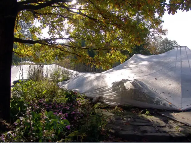 Vermeidbares Wartungsproblem: Herbstlaub im Teich