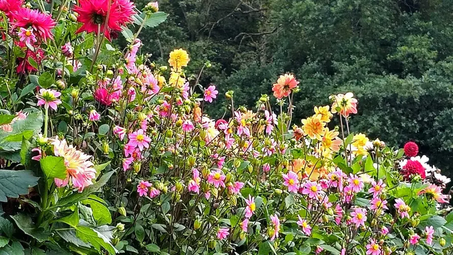 NaturaGart Newsletter 22. September 2026