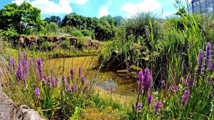 NaturaGart schafft Lebensräume