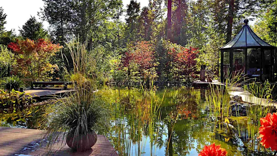 Technik Natur und Kosten im Teichbau