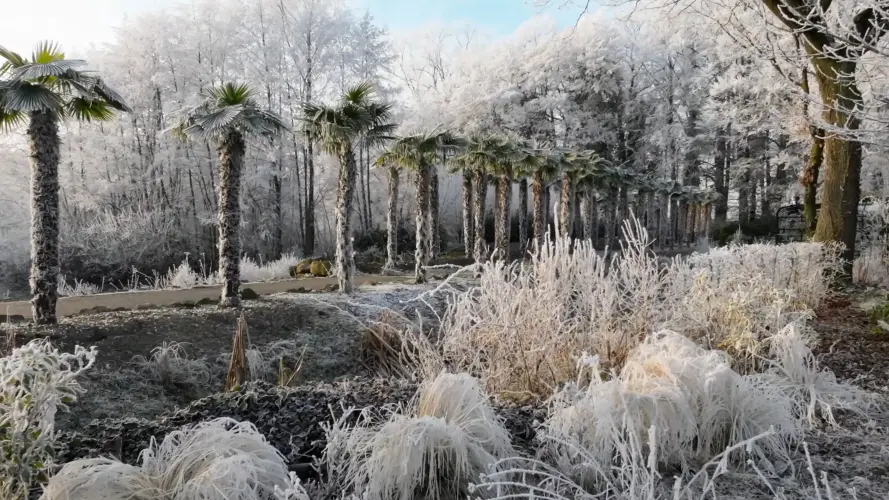NaturaGart Newsletter 04. Dezember 2025