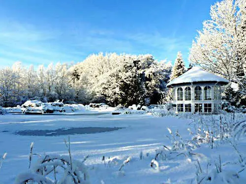 Ist der Garten winterfest gemacht, kann es an die Planung für das nächste Gartenjahr gehen