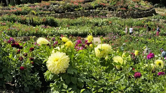 NaturaGart Newsletter 14. August 2025