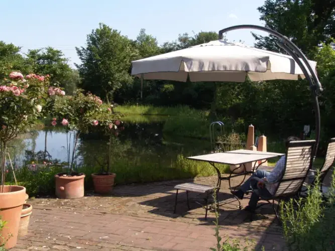 Wasserreinigung im Schwimmteich