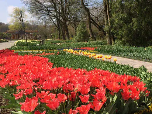 Frühling beim Teichspezialisten