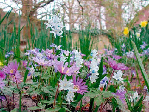Jetzt den Frühling planen