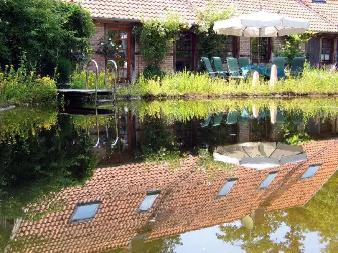 Gartenteich-Typen