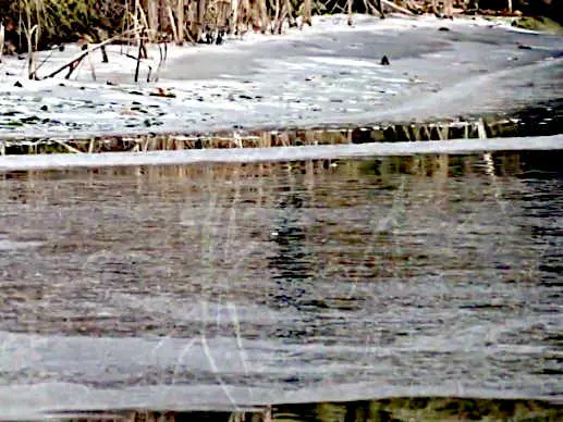 Gartenteich im Winter