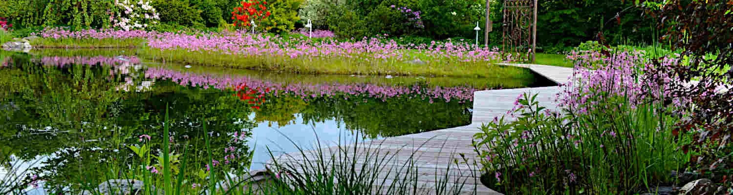 Naturteich-Systeme