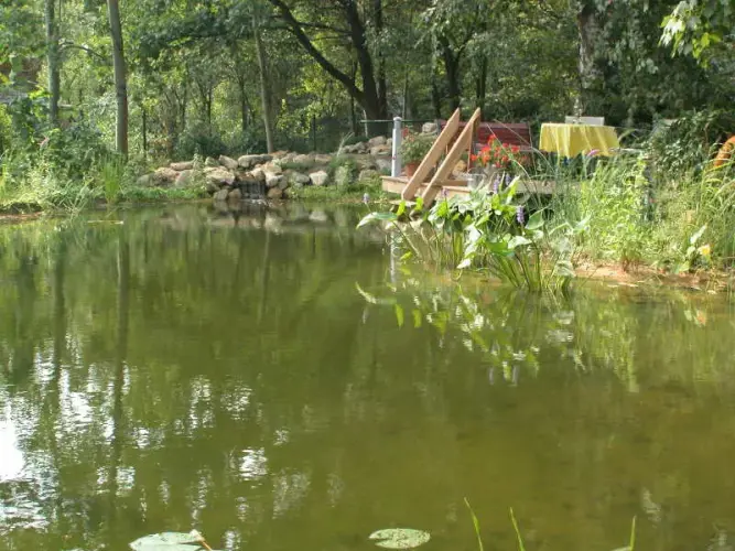 Komplett-Schwimmteich für ein individuelles Ergebnis: Teil 1