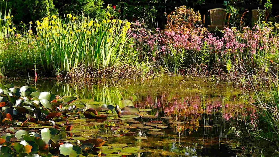 Langlebige Materialien im Teichbau