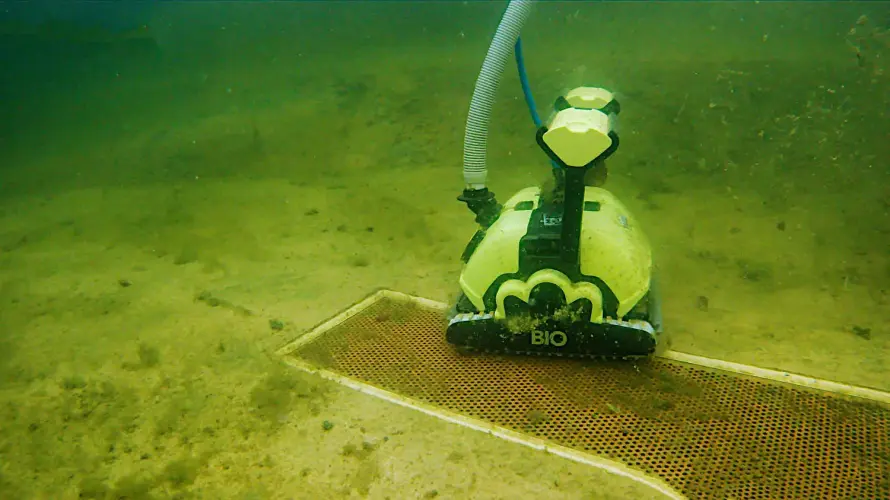 Helfer für Teich- und Aquarienpflege (m/w/d)