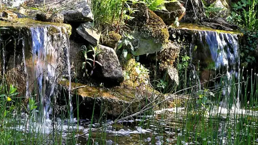 Warum NaturaGart auf langlebige Teichsysteme setzt