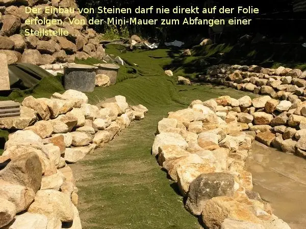 Teiche planen, bauen, pflegen – Tipp 17
