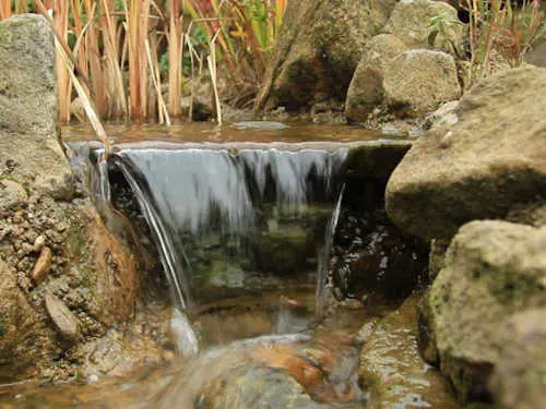 Teichpumpen