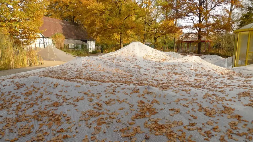 Ein attraktiver und algenfreier Gartenteich durch Laubschutz