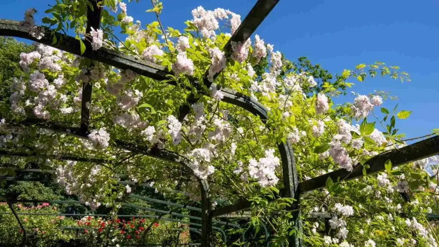 Gartenkonstruktionen