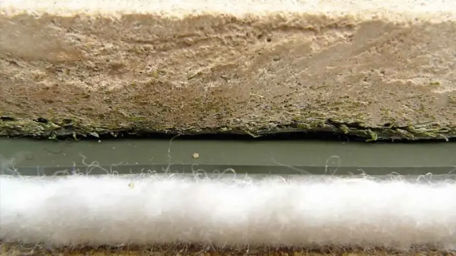 Teiche gegen Vandalismus panzern