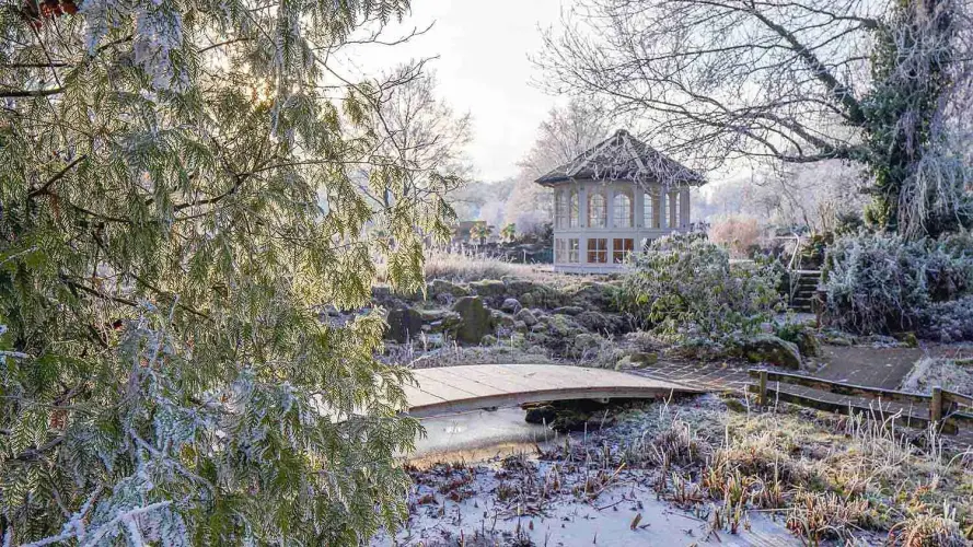 Wertgutscheine von NaturaGart - Das flexible Geschenk für Teich, Garten & Erlebnisse