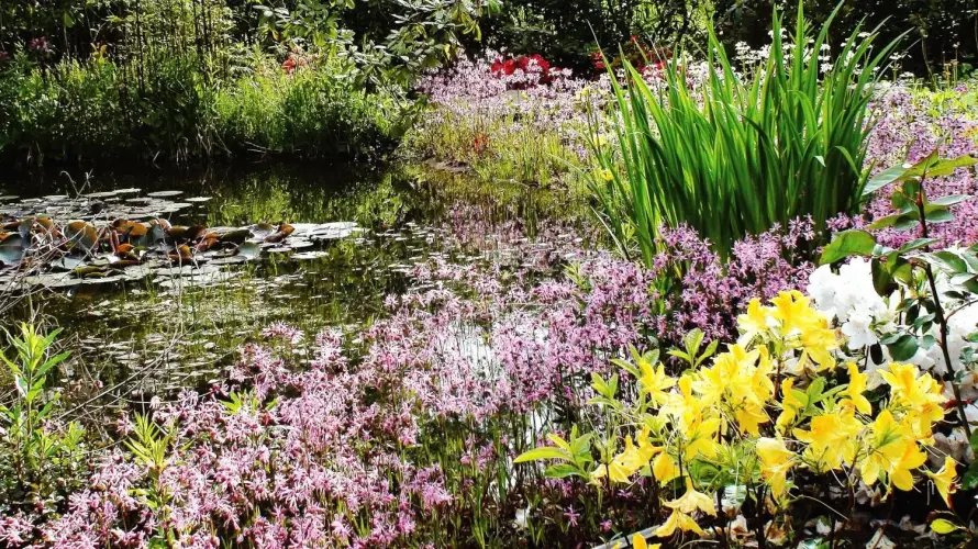 Ideen für redaktionelle Beiträge