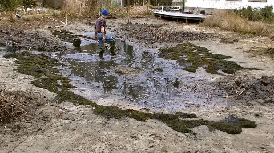 Sanierung von Teichen und Pools