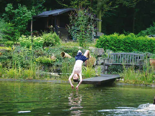 Teiche planen, bauen, pflegen - Tipp 5