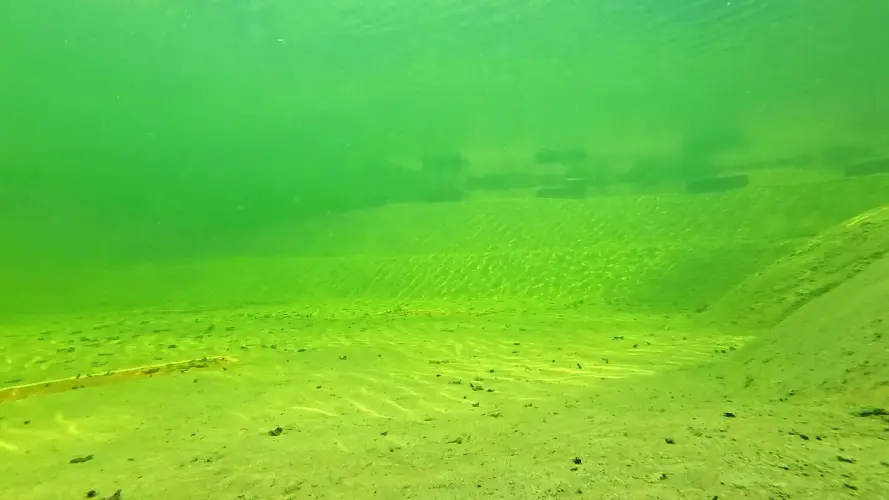 Kostenvergleich Schwimmbecken/Pools und NaturaGart-Schwimmteiche