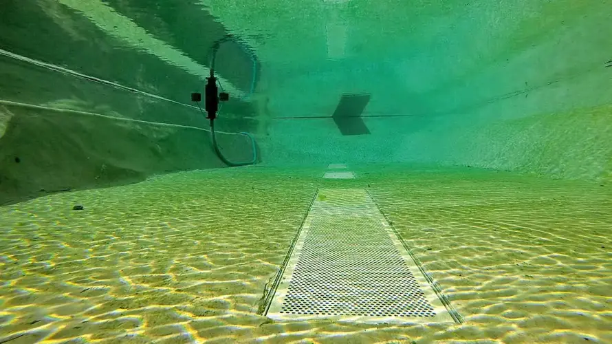 Schwimmteich oder Pool: Was Sie vor dem Kauf beachten sollten