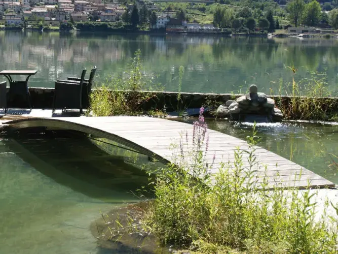 Schwimmteich Selbstbau