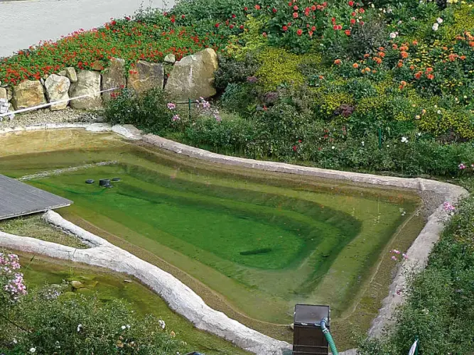Schwimmteich bauen - mit der Verbundmatte von NaturaGart