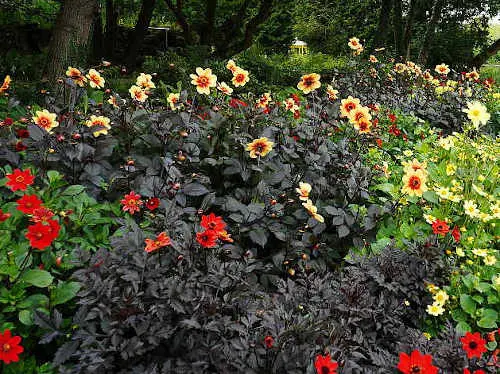 Sommer im Park