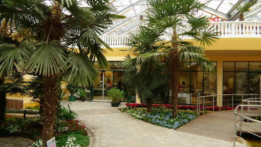 Jungkoch*köchin (m/w/d)