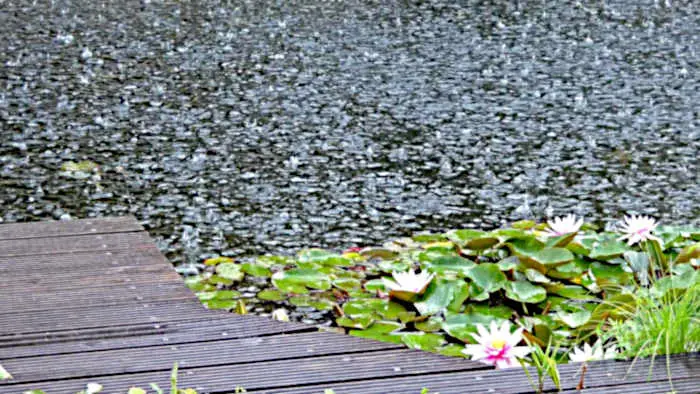 Gartenteiche als dezentrale Rückhaltebecken