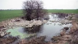 Mehr Natur im ländlichen Raum