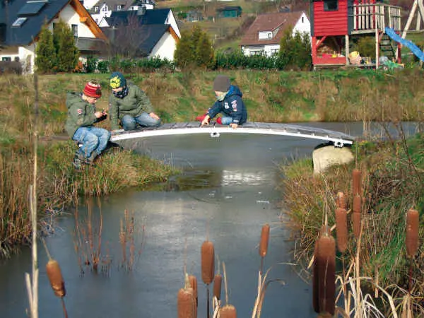 Kosten und Montage einer Teichbrücke