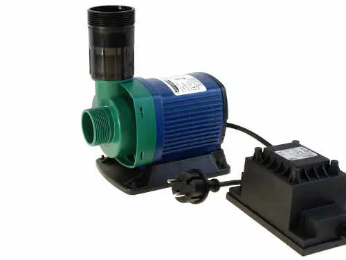 Eine falsche Teichpumpe wird sehr teuer!