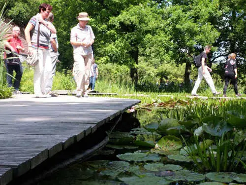 Steg am Gartenteich – Urlaub am Wasser