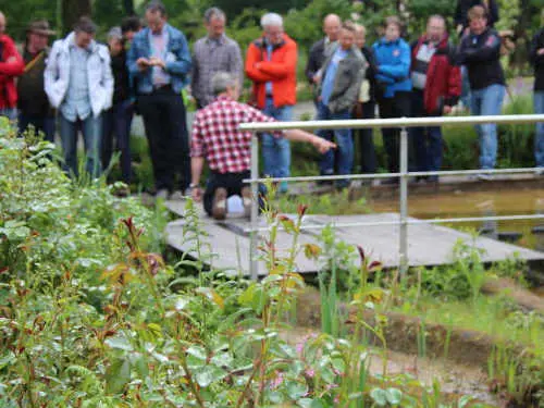 Nächster Teichtreff