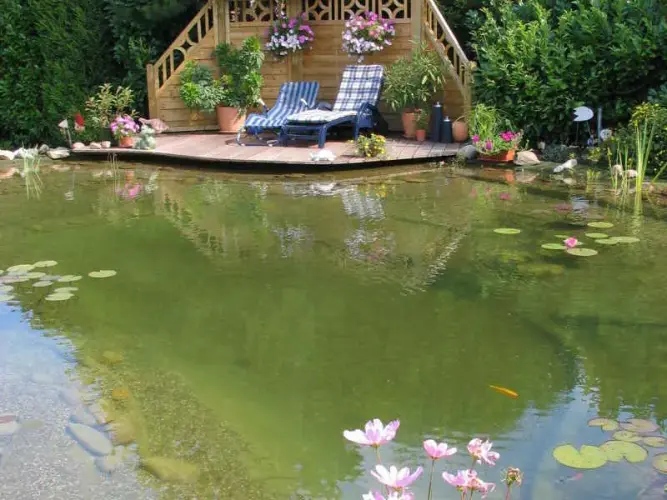 Vorteil Schwimmteich