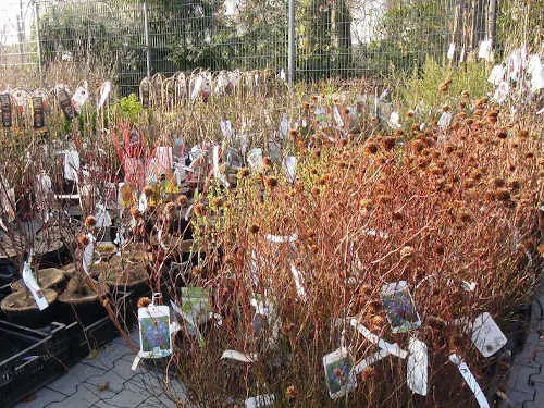 Durch das Gartenjahr