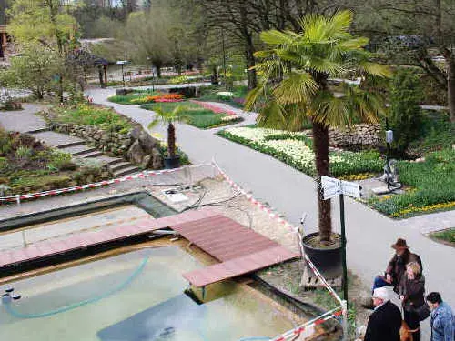 Live-Blick in den Park