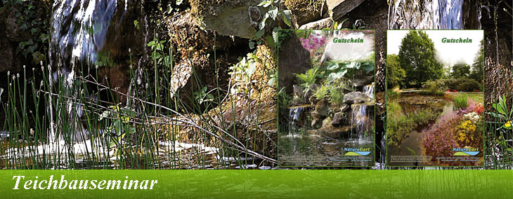 Teichbauseminar