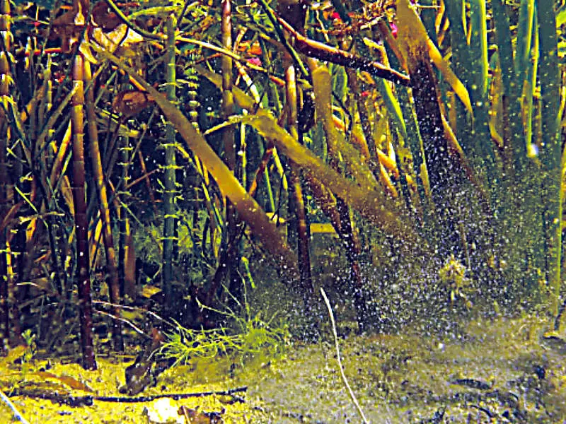 Wie funktioniert ein Filtergraben?