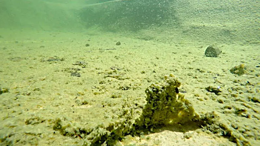 Warum ist der Wassertransport per Schwerkraft so entscheidend?